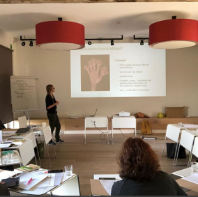 Lecture about nature´s wellbeing effects to wandel coach training at Het Coachbureau